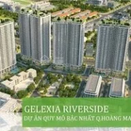 gelexiahoangmai